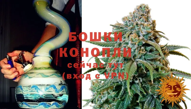 гидра ONION  Новороссийск  Шишки марихуана SATIVA & INDICA  где можно купить  